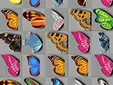 butterfly kyodai
