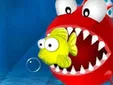 fish eat fish