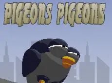 Pigeons Pigeons