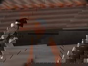 Sniper Attack